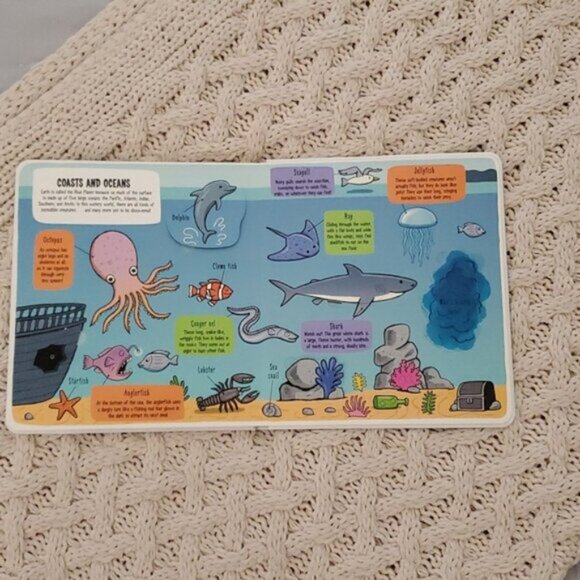 New "Little Explorers: The Animal World" Flap Board Book - Picture 10 of 14